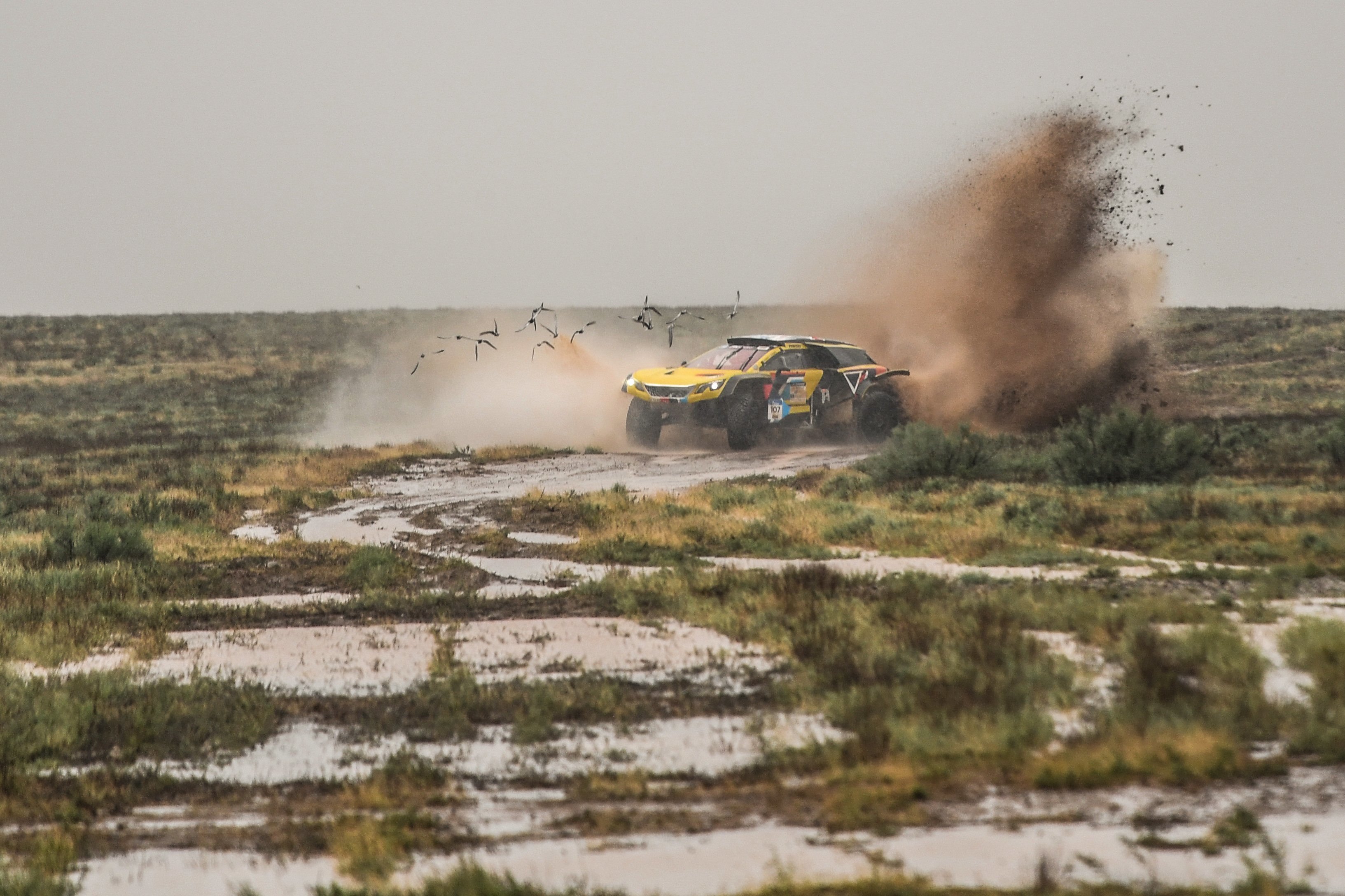 Что же случилось? Случилась размытая ливнями степь